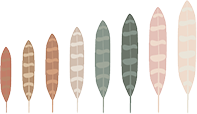 LBV FEATHER RAINBOW ASCEND@2x 2