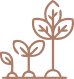 plant 2